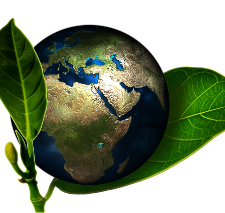 ecologie