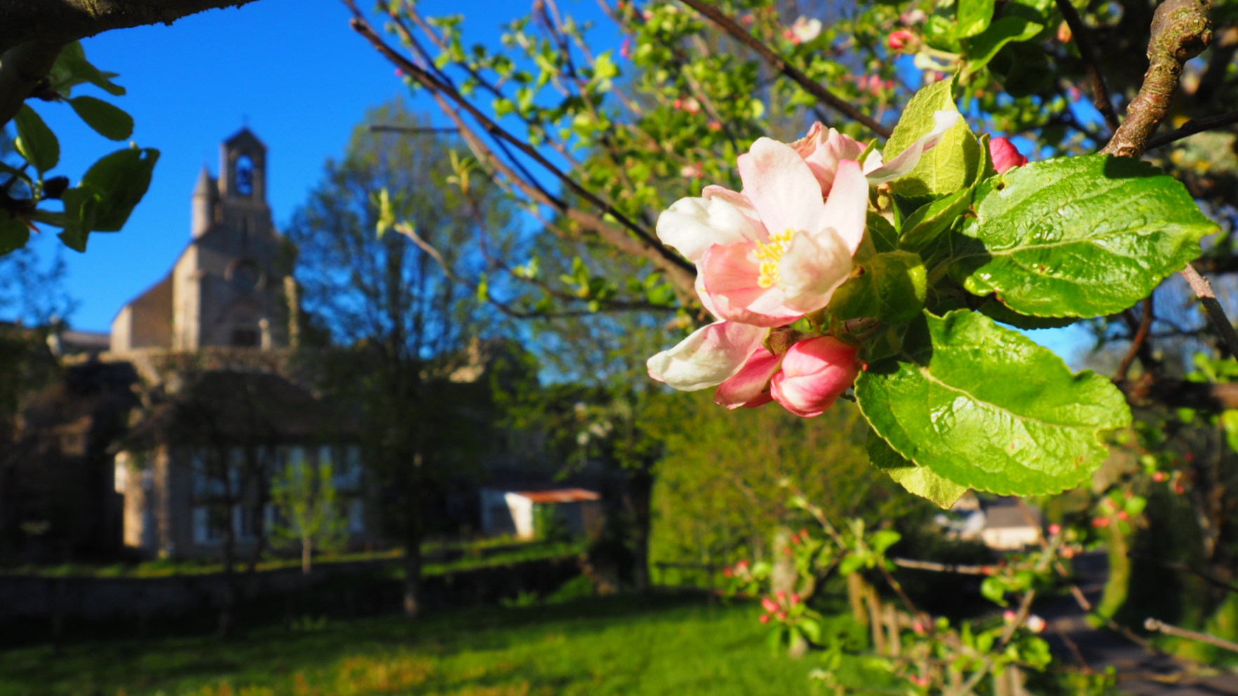 LE BUISSON PORTE D'ENTRÉE DU PNR AUBRAC LE BUISSON Lozère Tourism