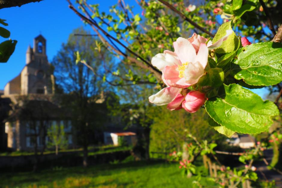 LE BUISSON PORTE D'ENTRÉE DU PNR AUBRAC LE BUISSON Lozère Tourism