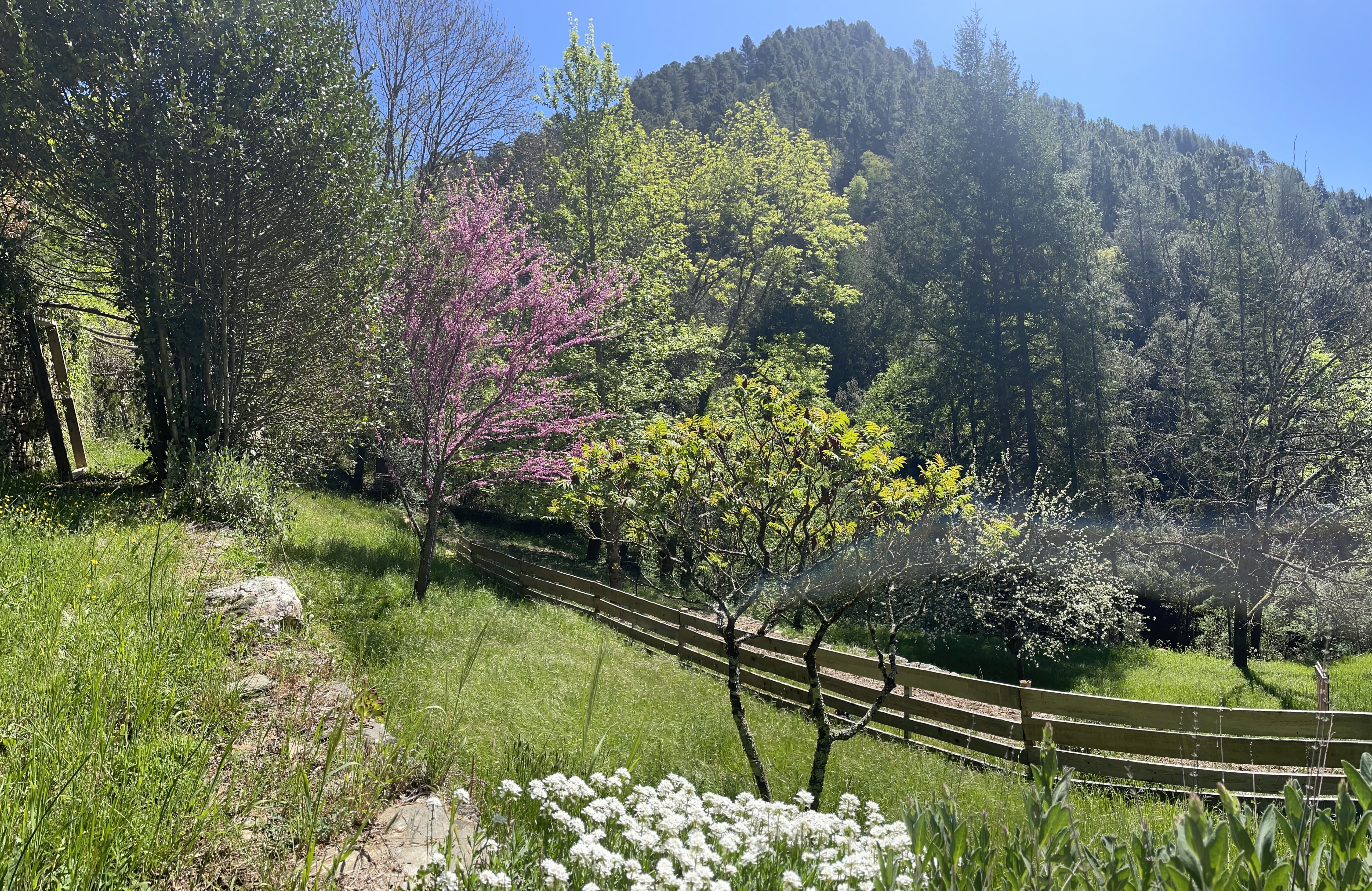 GÎTE LOU GRANA, Le Collet-de-Dèze - photo 7