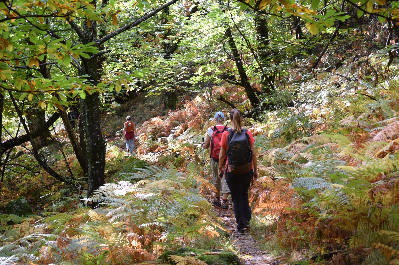 NATURALOHA : DÉCOUVERTE DES CÉVENNES À PIED, Barre-des-Cévennes - photo 3