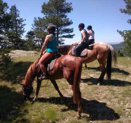 Ferme équestre des Mourènes balade en Cévennes