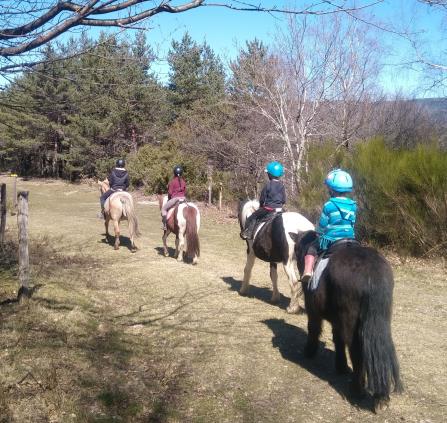 Ferme équestre des Mourènes à poney
