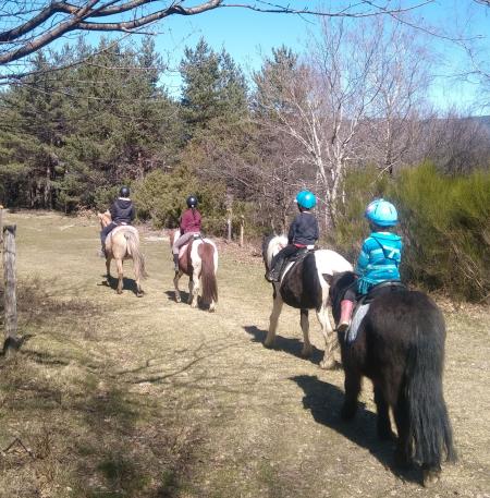 Ferme équestre des Mourènes à poney