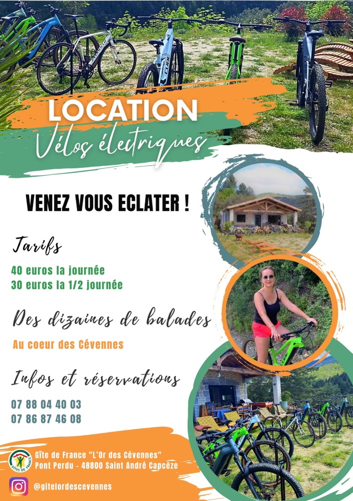 GÎTE L'OR DES CÉVENNES, Saint-André-Capcèze - photo 6