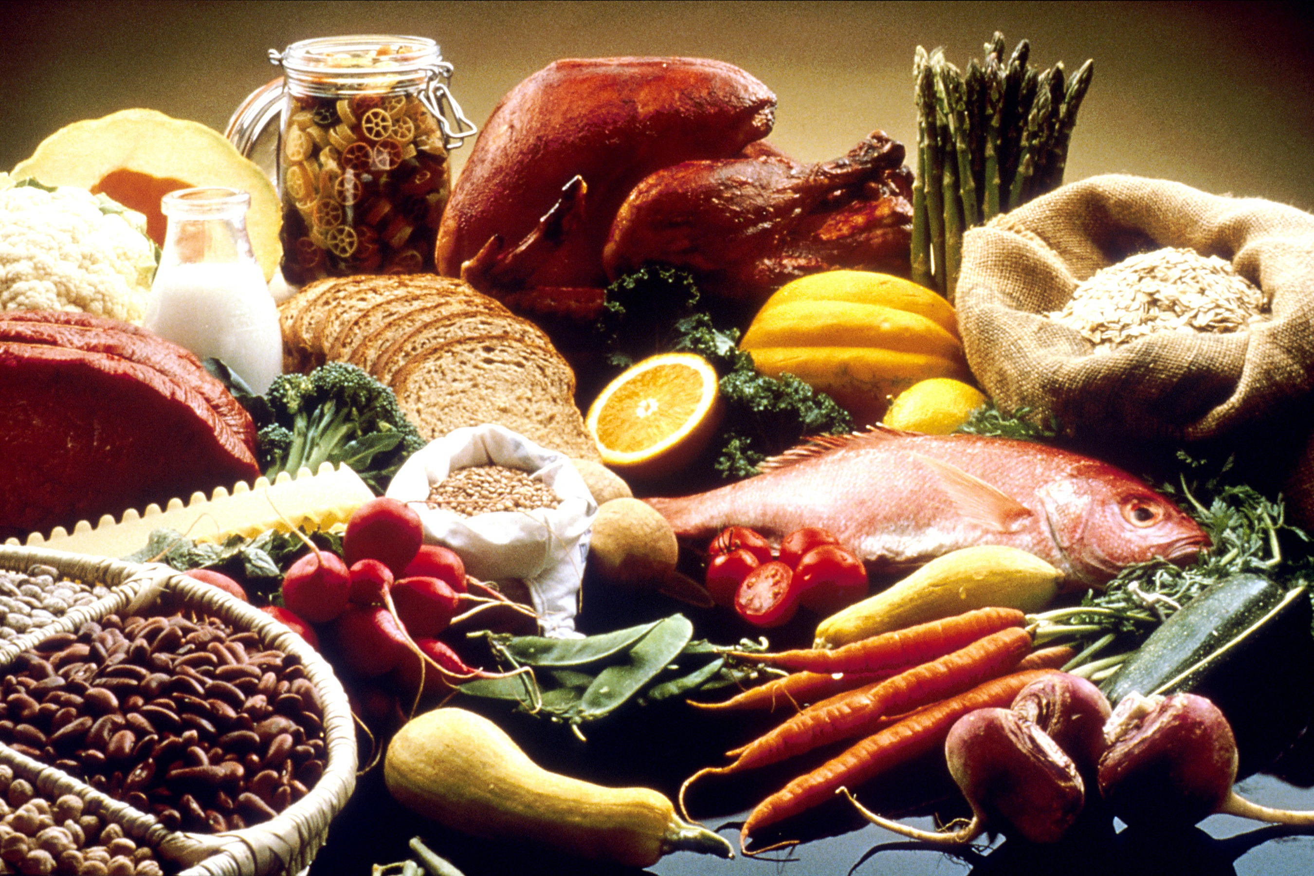 ATELIER DIÉTÉTIQUE ET NUTRITION — visuel événement