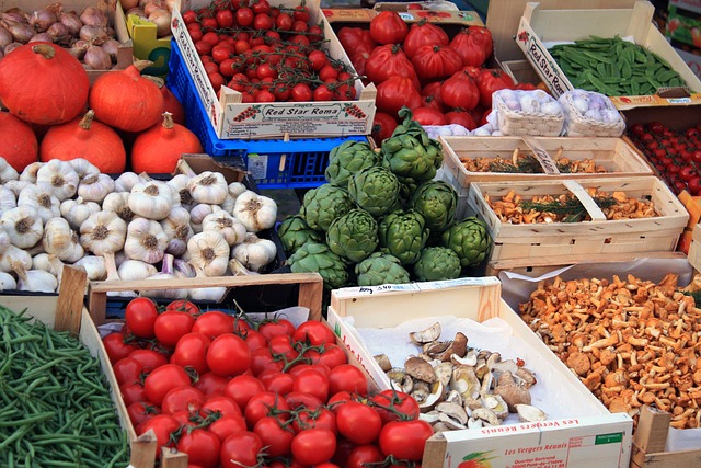L'INJUSTE PRIX DE NOTRE ALIMENTATION - QUELS COÛTS POUR LA SOCIÉTÉ ET LA PLANÈTE ?