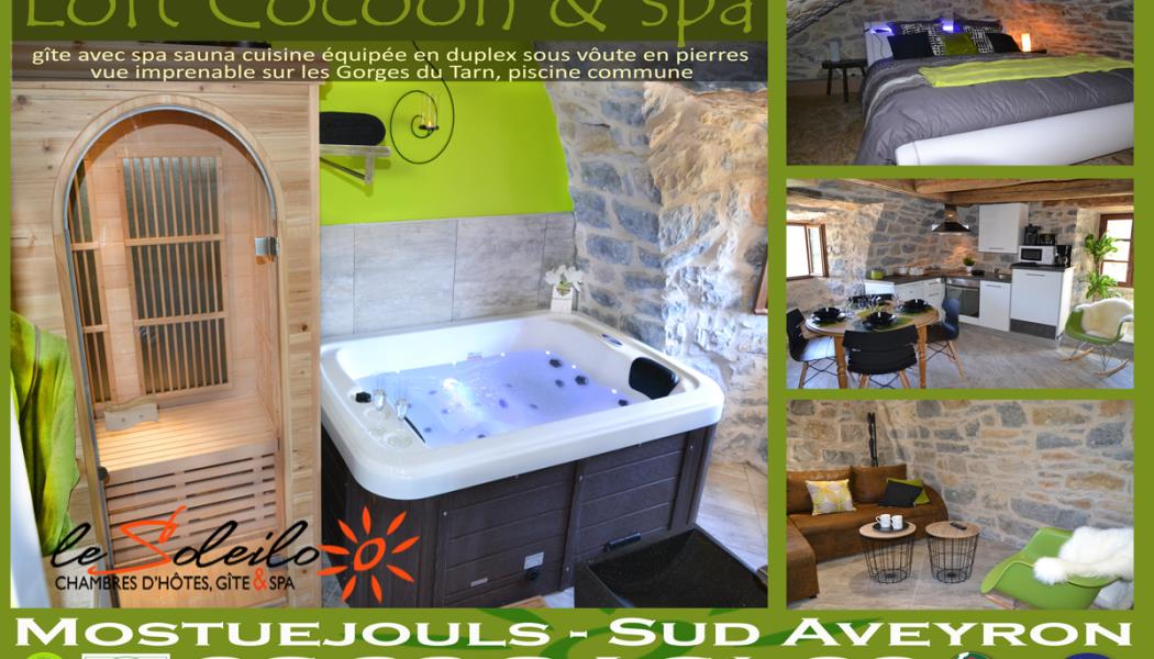 gite-jacuzzi-piscine-chambre-spa-sauna-gorgesdutarn-millau-aveyron-lozere-midi-pyrenees-sud-france