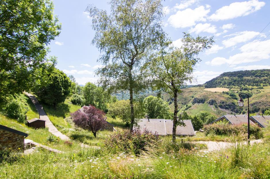 gite lactaires barre des cevennes 8 places (15) 