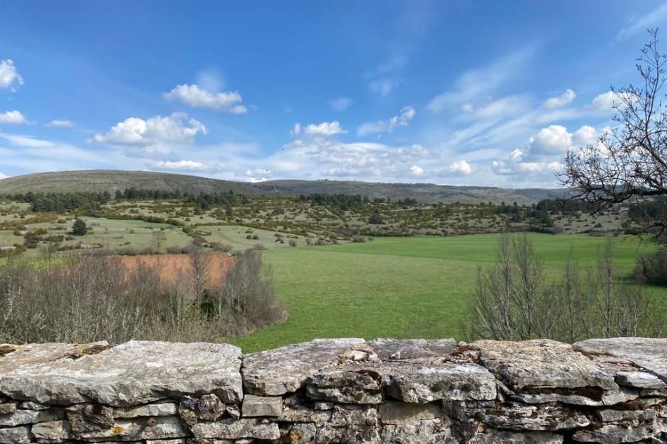 gite-maison-marcelle-gd14 