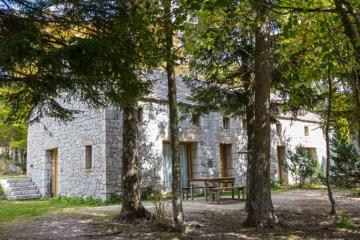 gite ombrage 8 pers - mas de la barque - lozere (7)