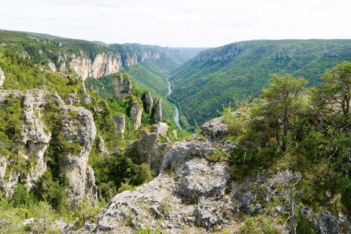 PROMENADE "TRÉSORS DE BIODIVERSITÉ" : ENTRE POINTS DE VUE ET SENTIERS OUBLIÉS