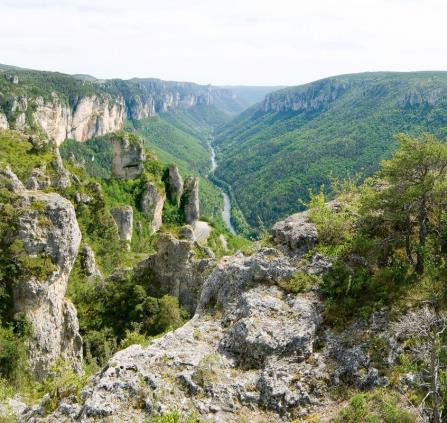 Gorges du Tarn
