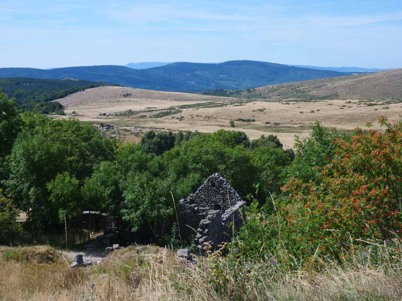 Des crêtes du Mont Lozère à la vallée du haut Tarn en gravel