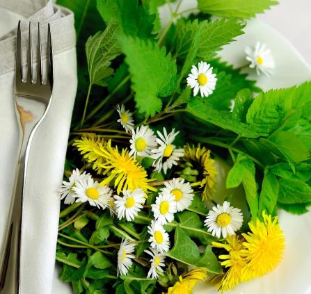 herbs-5145383_1280