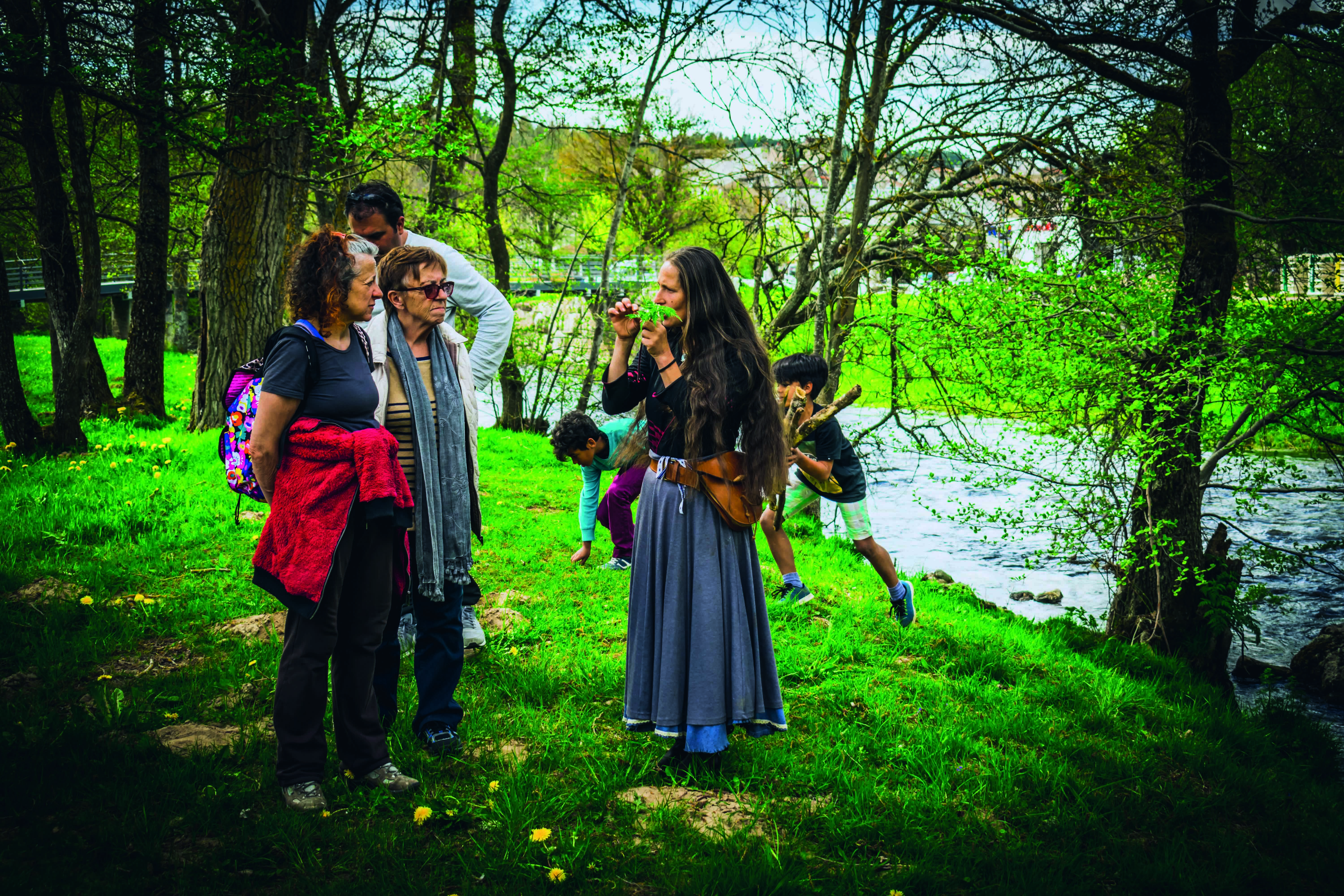 SORTIE NATURE - HISTOIRES DE PLANTES : L'ÉVEIL DE LA FLORE