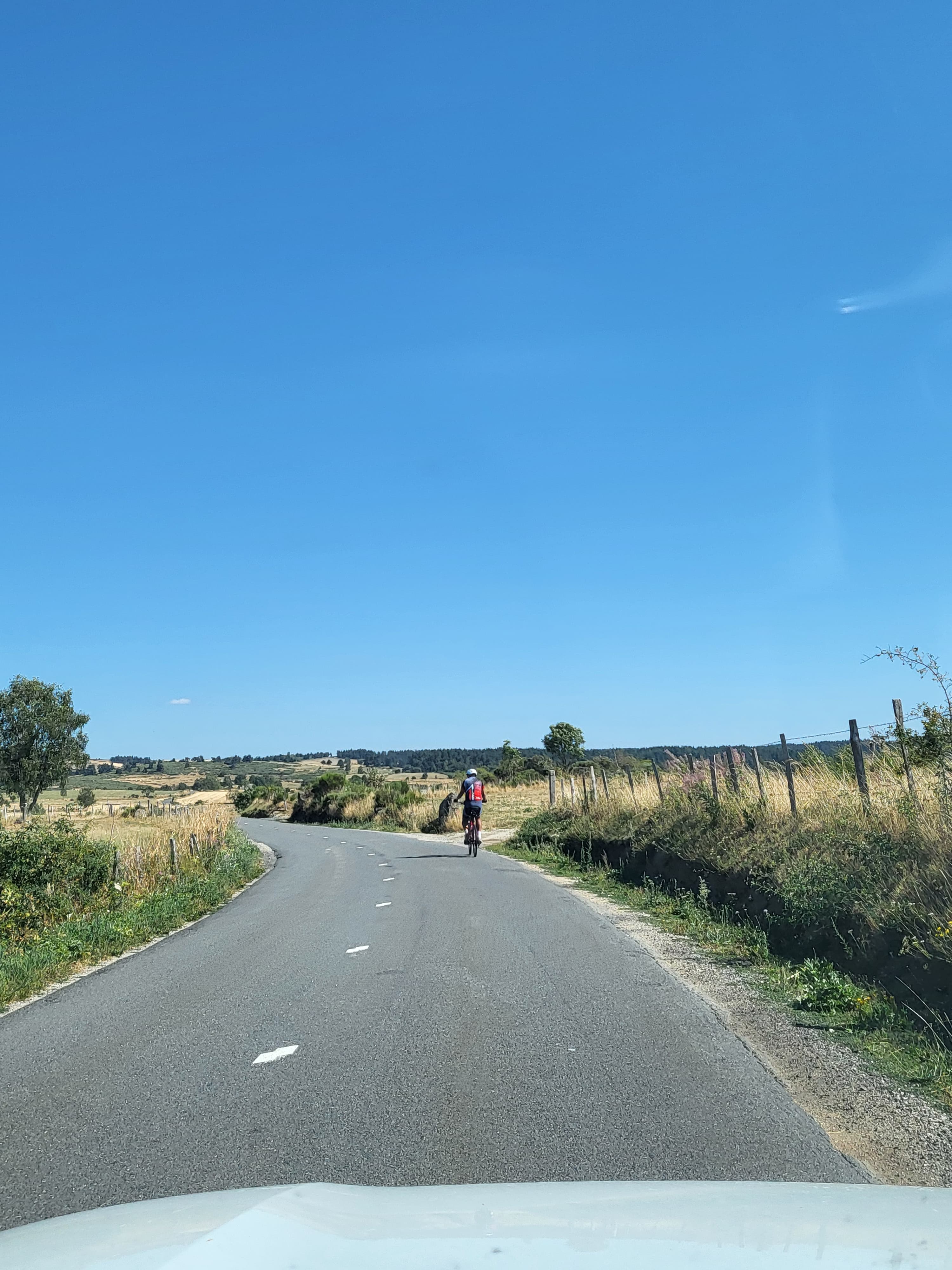 Sur la piste des Bisons