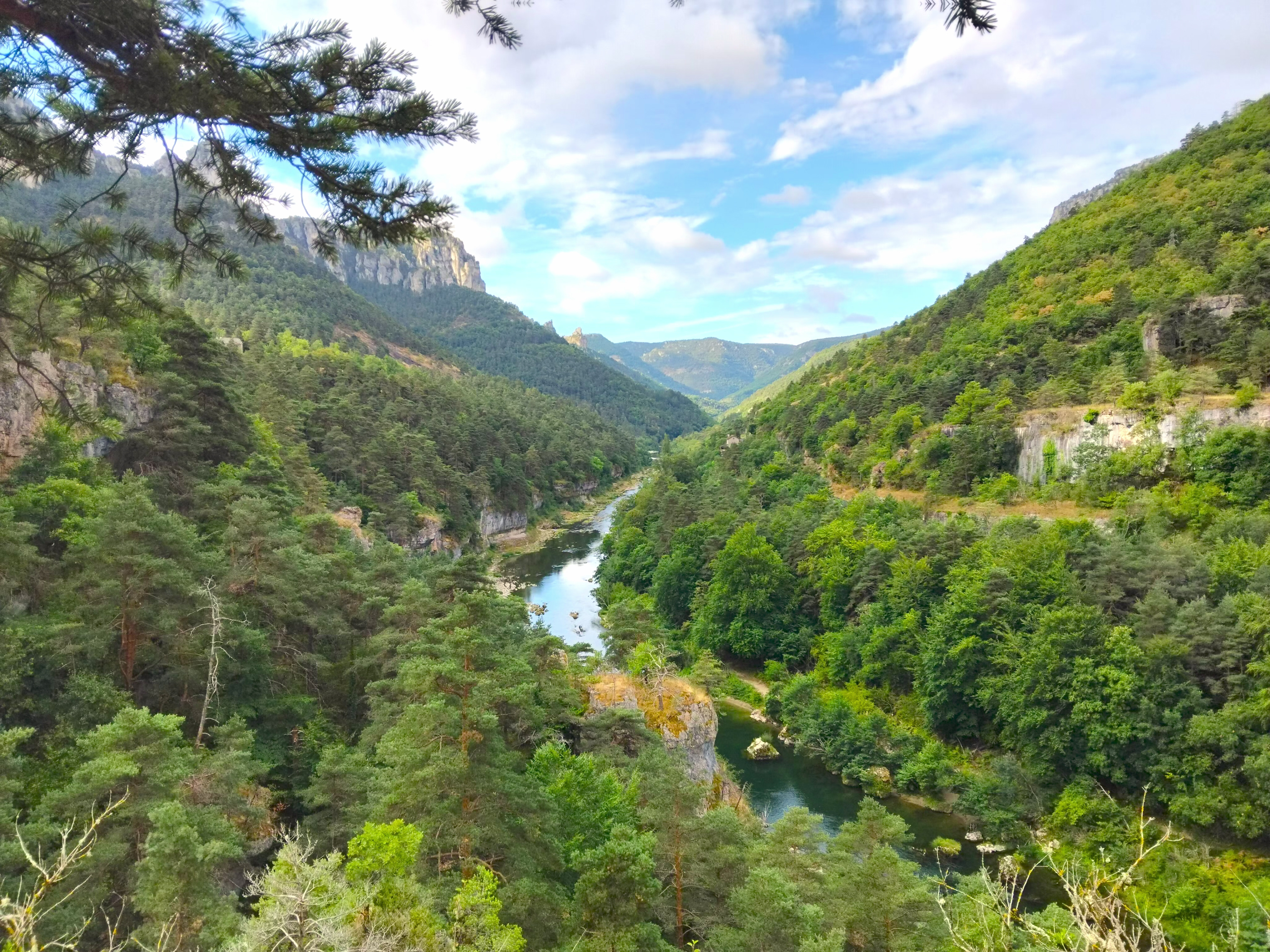 GR736® des Vignes à Peyreleau