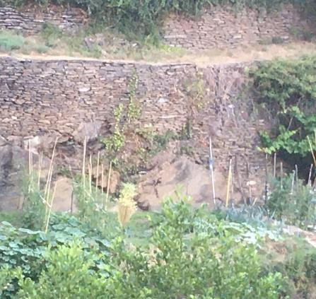 Les bancels des Calquières