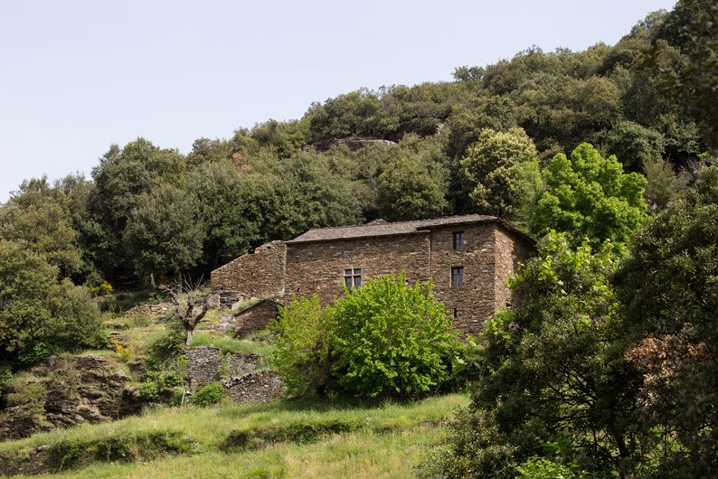 Mas cévenol de La Roquette