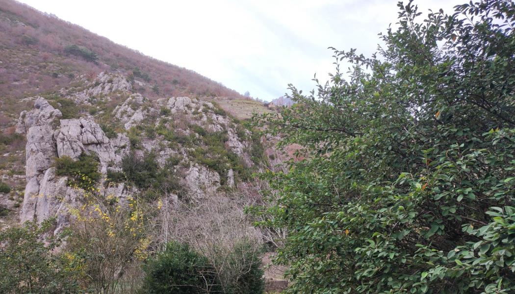 jardin et vue Gîte de la Baume Gorges du Tarn