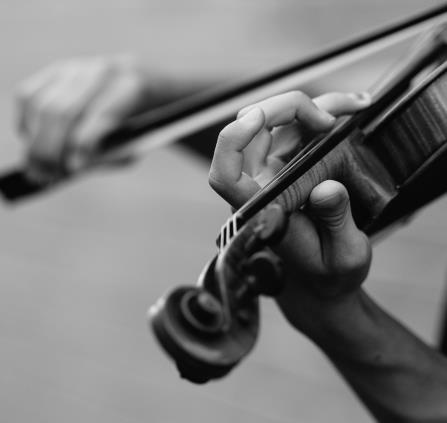 Violon