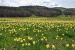 Panoramas des Monts-Verts