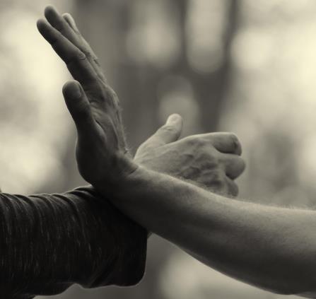 kampfkunstbewegung-hands-6706782