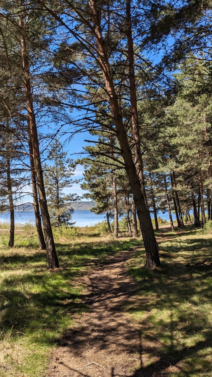 L'OUSTAL DU LAC - photo 4