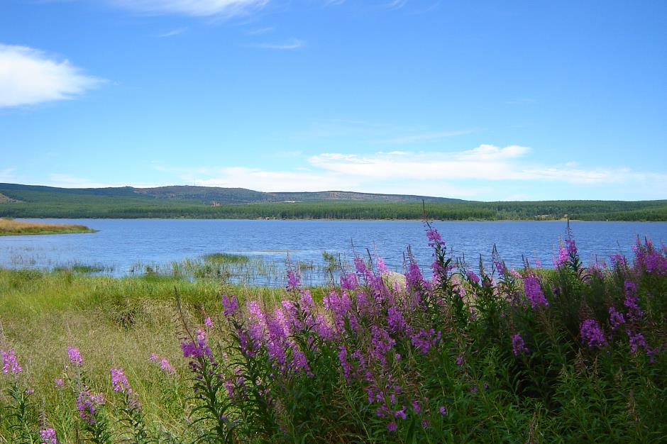 lac de Charpal 