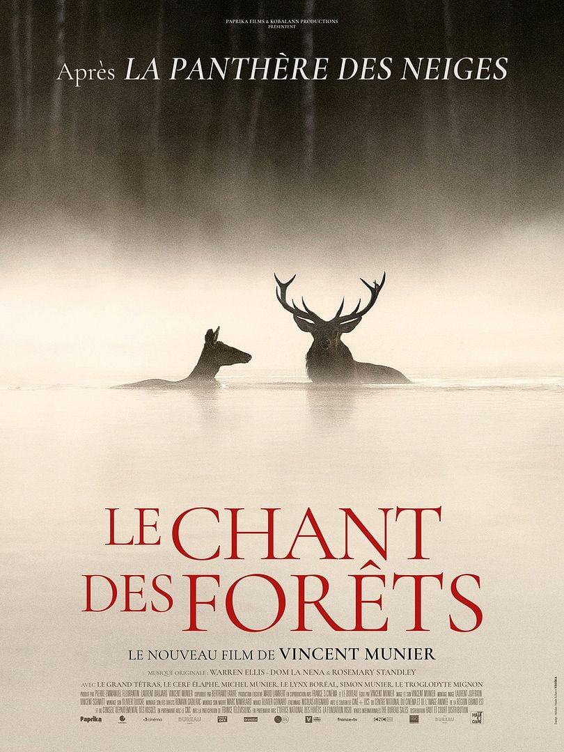 CINÉ-DÉBAT – LE CHANT DES FORÊTS