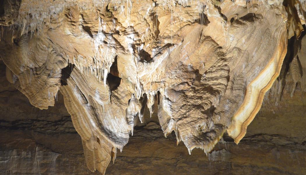 Le Grand Papillon - Grotte de Trabuc