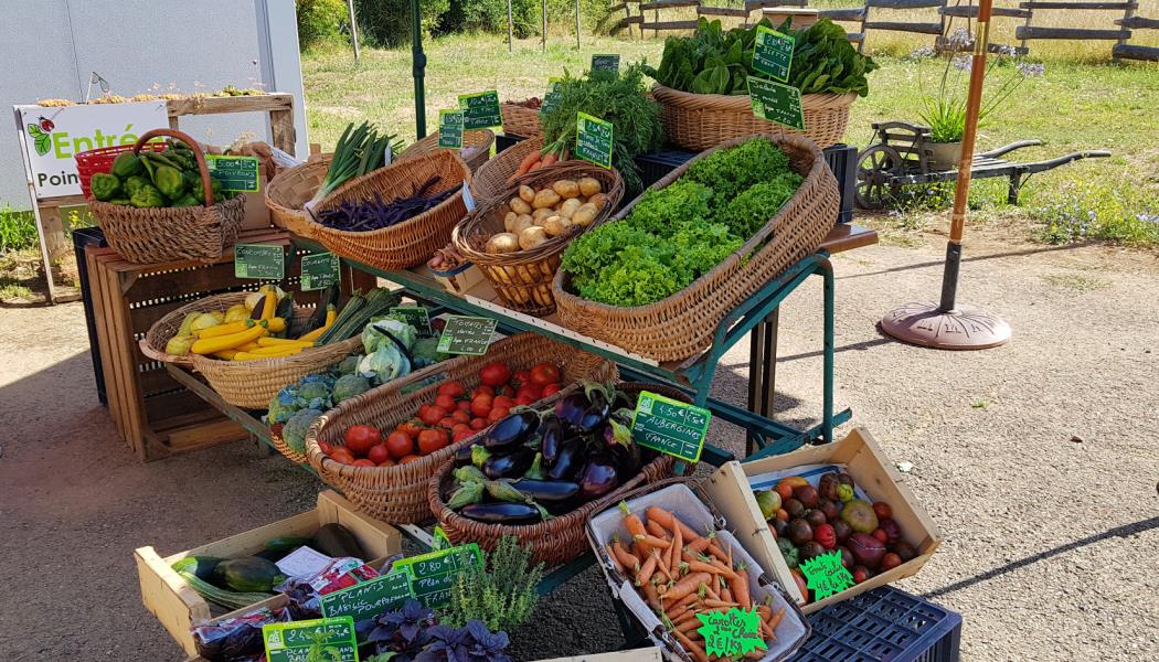 légumes du marché bio