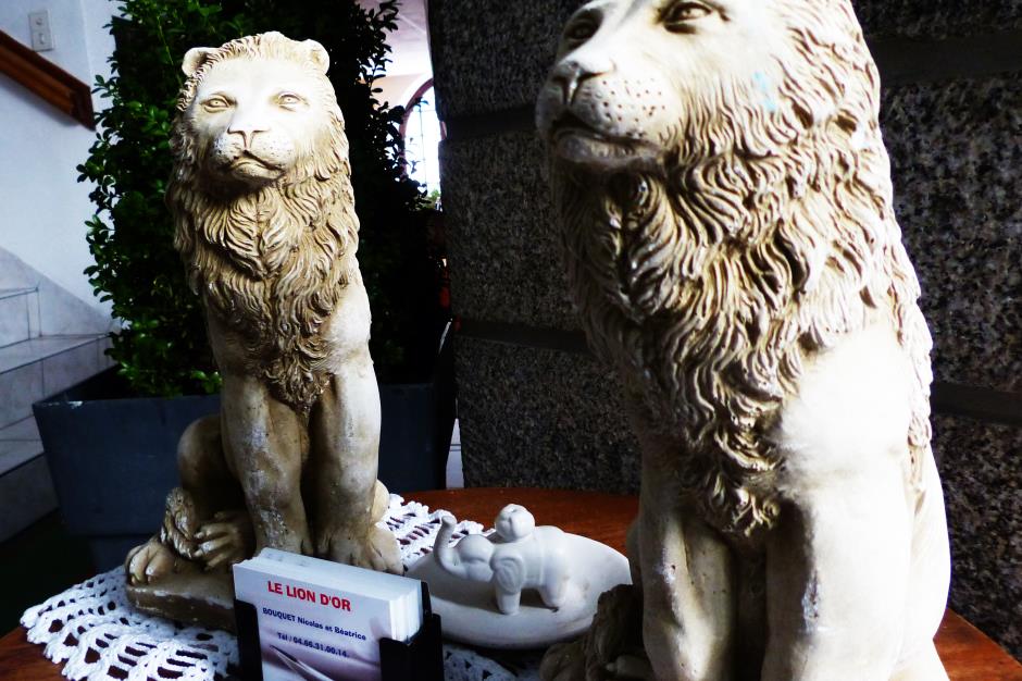 lions 
