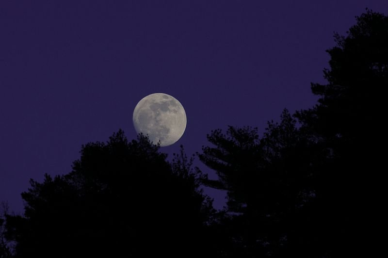 UN ÉTÉ AVEC LE PARC : PLEINE LUNE SUR LE MONT LOZÈRE