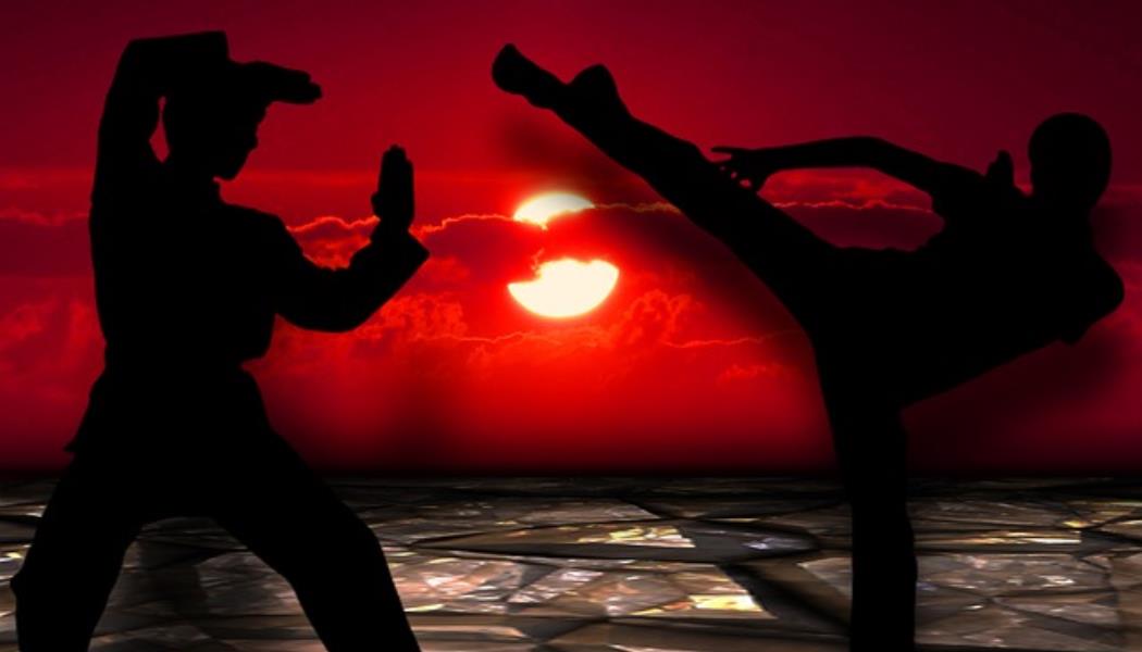 martial-arts-291049_640