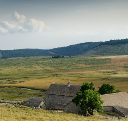 mas camargues pnc