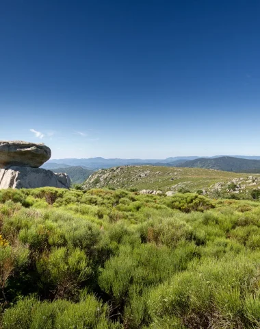 VISITE EXPRESS SPÉCIALE LOZÈRE