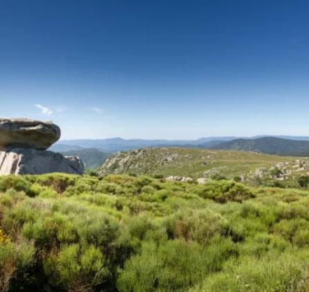 montlozere-380x480-f50_50