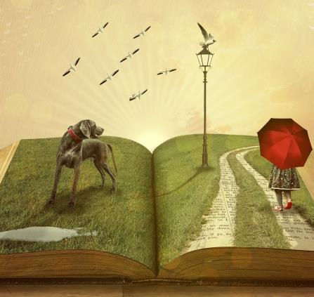 Histoire de livre