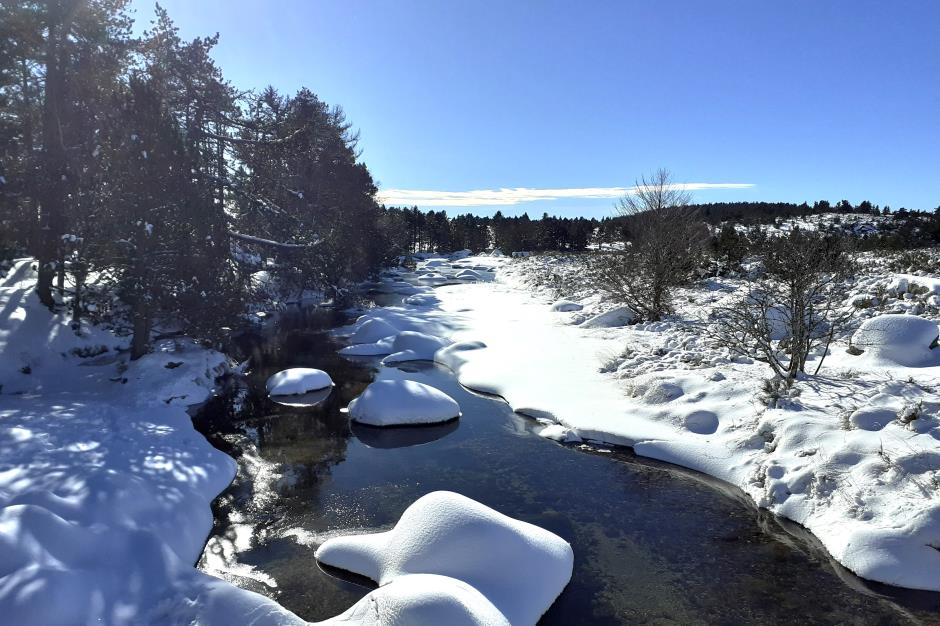 neige mont Lozere 