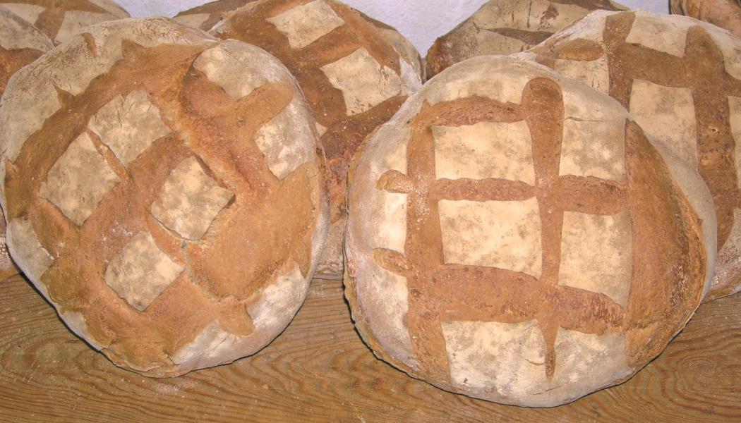 fabrication de pain à l'ancienne - randonnée fruits sauvages -brame du cerf