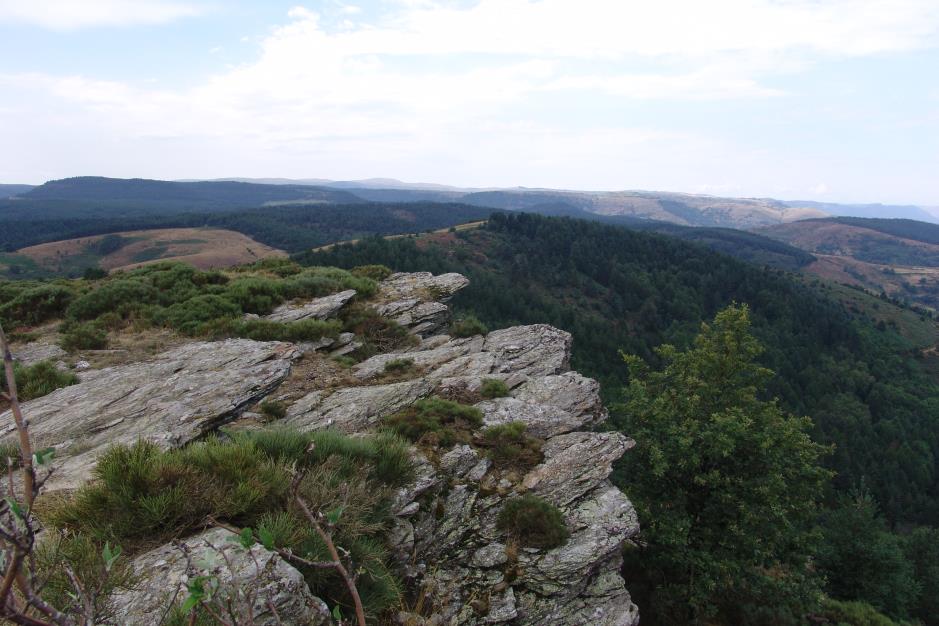 paysage 3 