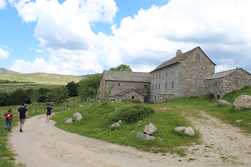 Pont du Tarn - VTT n°9 — photo 2