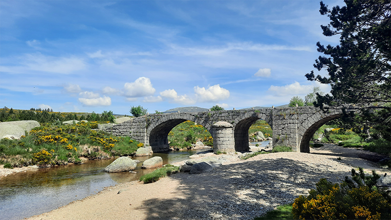 Pont du Tarn - VTT n°9 — photo 3
