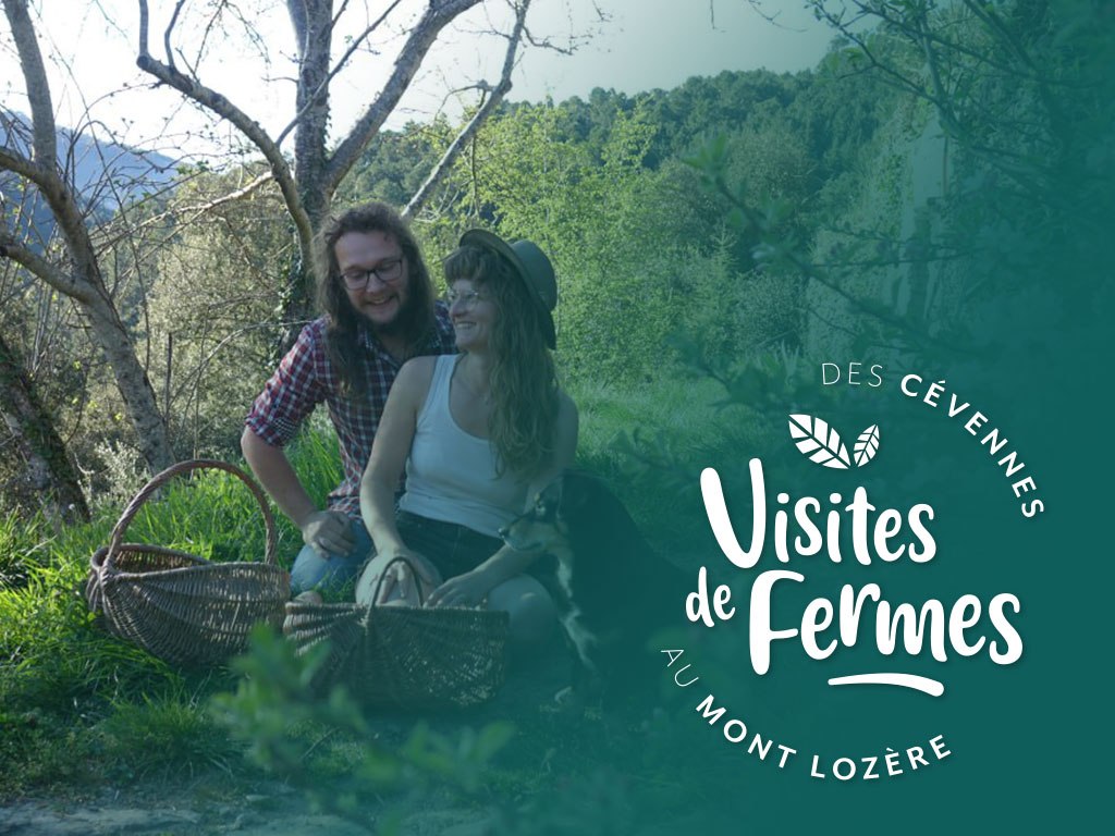 VISITES DE FERMES 2026: LA FERME SIMONE — visuel événement