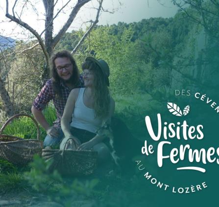 La ferme simone