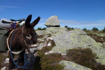 photo balade en ane florac 2