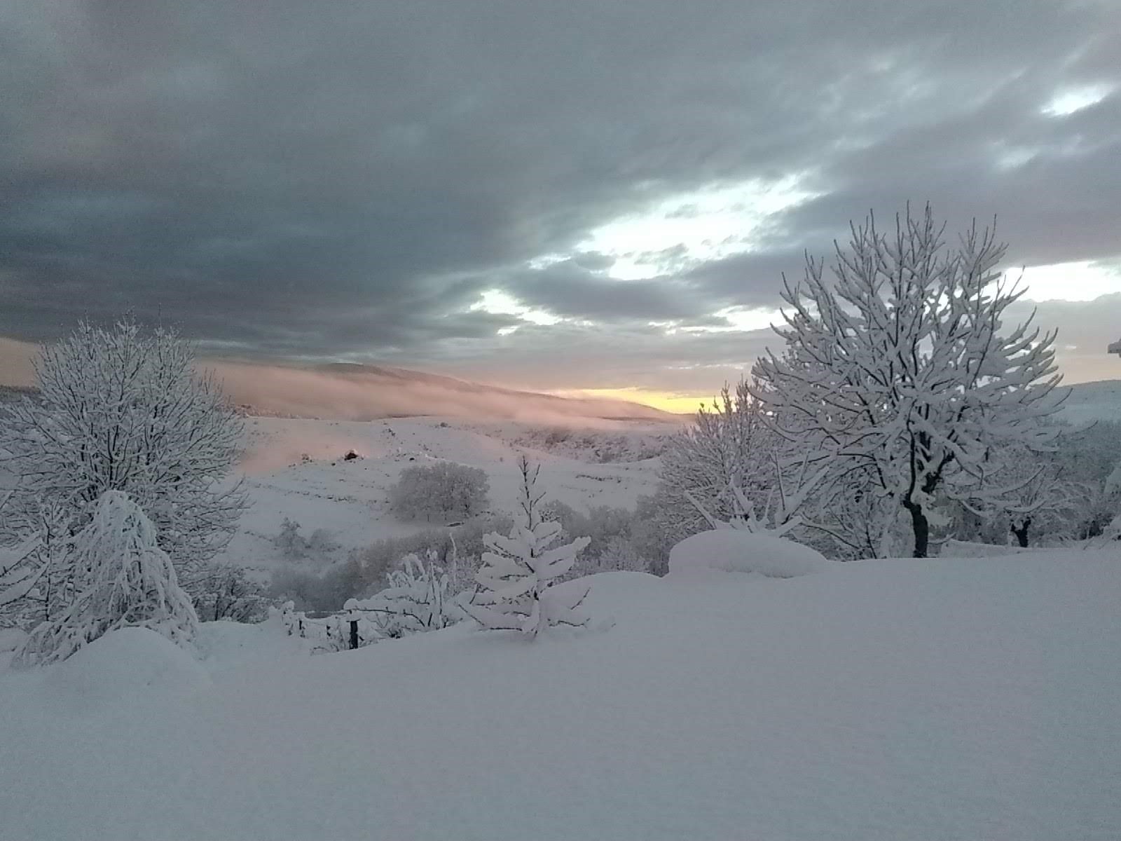 GÎTES DU MAZEL : LE FAYARD, Pont de Montvert - Sud Mont Lozère - photo 8
