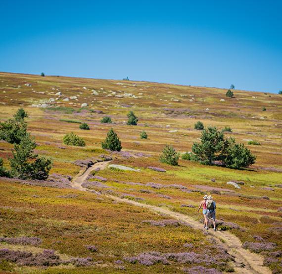 FÊTE DE LA NATURE EN LOZÈRE : LECTURES INSOLITES